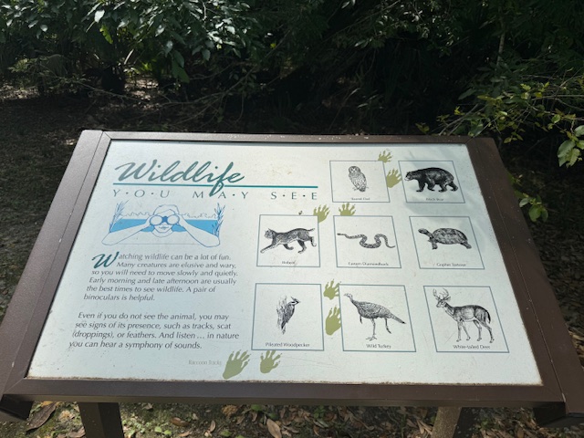 Wildlife you may see in the park.